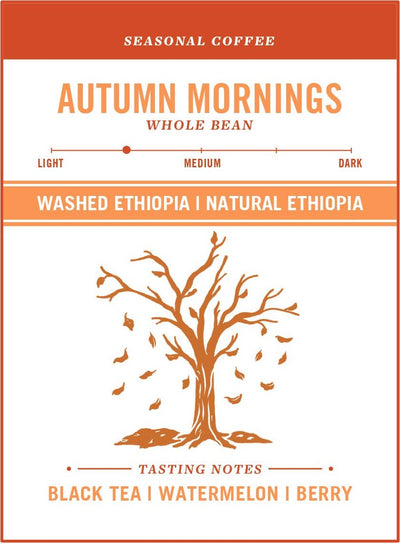 Autumn Mornings
